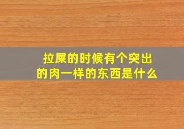 拉屎的时候有个突出的肉一样的东西是什么