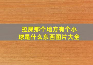 拉屎那个地方有个小球是什么东西图片大全