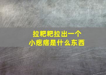 拉粑粑拉出一个小疙瘩是什么东西