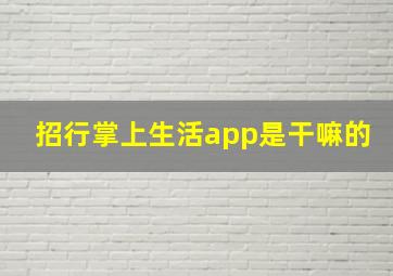 招行掌上生活app是干嘛的