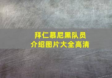 拜仁慕尼黑队员介绍图片大全高清