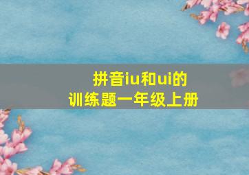 拼音iu和ui的训练题一年级上册