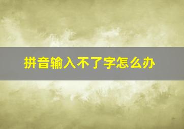 拼音输入不了字怎么办