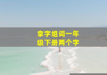 拿字组词一年级下册两个字