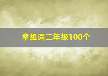 拿组词二年级100个