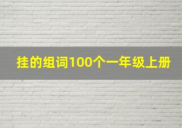 挂的组词100个一年级上册