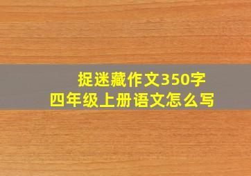 捉迷藏作文350字四年级上册语文怎么写