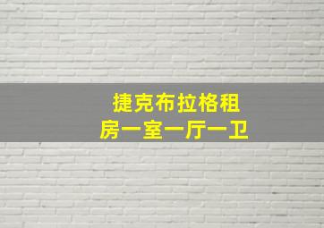 捷克布拉格租房一室一厅一卫