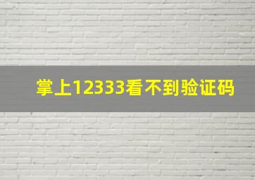 掌上12333看不到验证码