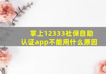 掌上12333社保自助认证app不能用什么原因