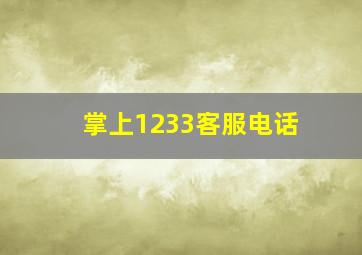 掌上1233客服电话