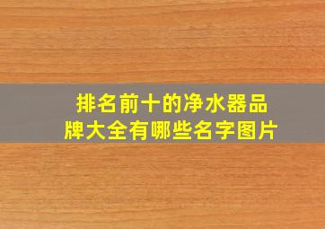 排名前十的净水器品牌大全有哪些名字图片