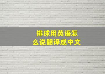 排球用英语怎么说翻译成中文