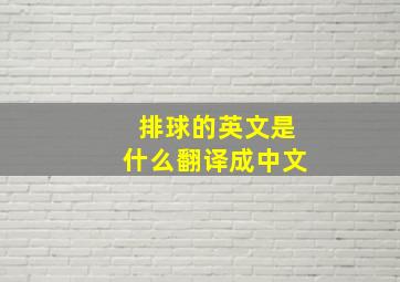 排球的英文是什么翻译成中文