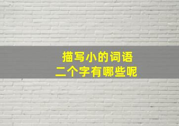 描写小的词语二个字有哪些呢