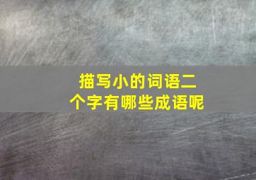 描写小的词语二个字有哪些成语呢