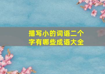 描写小的词语二个字有哪些成语大全