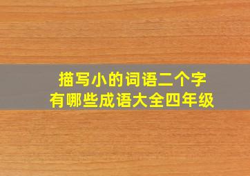 描写小的词语二个字有哪些成语大全四年级