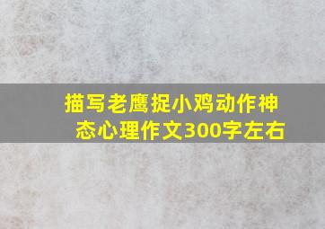 描写老鹰捉小鸡动作神态心理作文300字左右