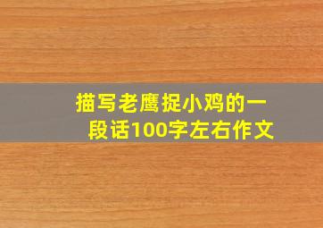 描写老鹰捉小鸡的一段话100字左右作文