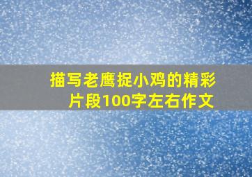 描写老鹰捉小鸡的精彩片段100字左右作文