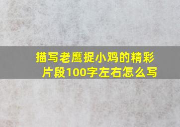 描写老鹰捉小鸡的精彩片段100字左右怎么写