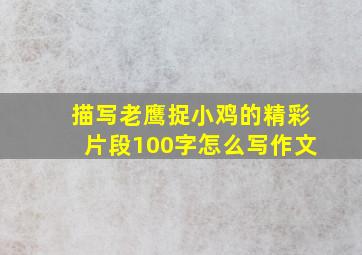 描写老鹰捉小鸡的精彩片段100字怎么写作文