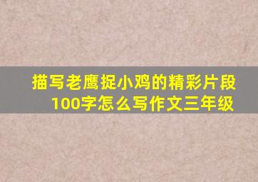 描写老鹰捉小鸡的精彩片段100字怎么写作文三年级