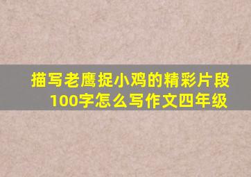 描写老鹰捉小鸡的精彩片段100字怎么写作文四年级