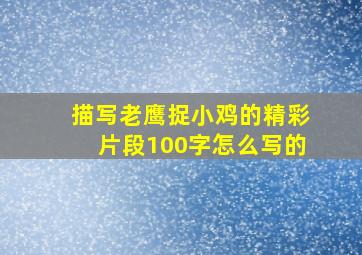 描写老鹰捉小鸡的精彩片段100字怎么写的