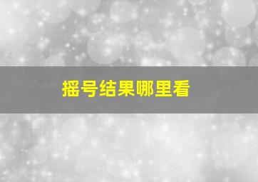 摇号结果哪里看