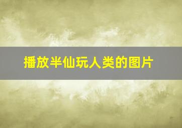 播放半仙玩人类的图片