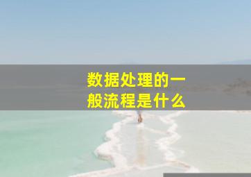 数据处理的一般流程是什么