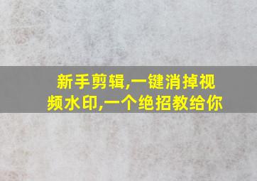 新手剪辑,一键消掉视频水印,一个绝招教给你