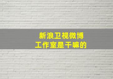 新浪卫视微博工作室是干嘛的