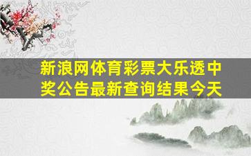 新浪网体育彩票大乐透中奖公告最新查询结果今天