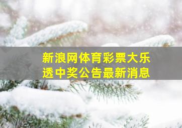 新浪网体育彩票大乐透中奖公告最新消息