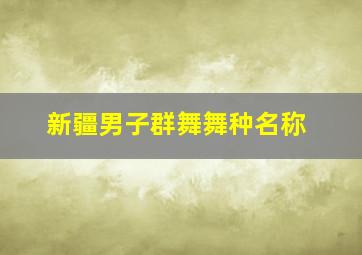 新疆男子群舞舞种名称