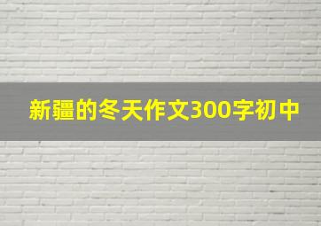 新疆的冬天作文300字初中