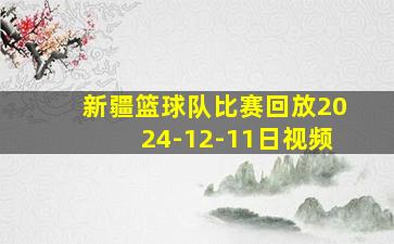 新疆篮球队比赛回放2024-12-11日视频