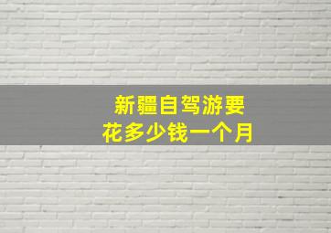 新疆自驾游要花多少钱一个月