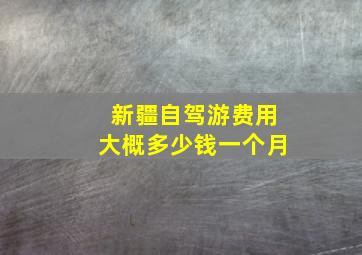 新疆自驾游费用大概多少钱一个月