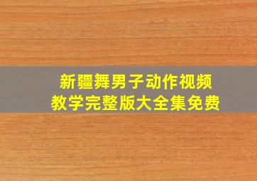 新疆舞男子动作视频教学完整版大全集免费