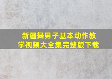 新疆舞男子基本动作教学视频大全集完整版下载