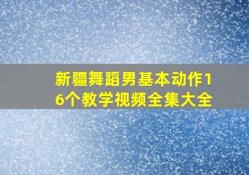 新疆舞蹈男基本动作16个教学视频全集大全