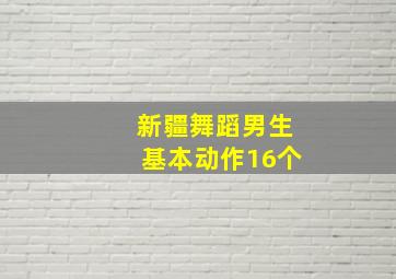 新疆舞蹈男生基本动作16个