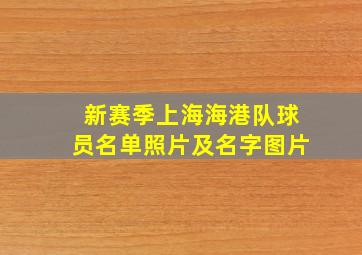 新赛季上海海港队球员名单照片及名字图片