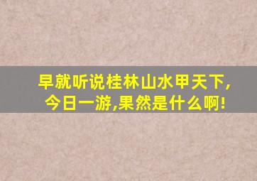 早就听说桂林山水甲天下,今日一游,果然是什么啊!