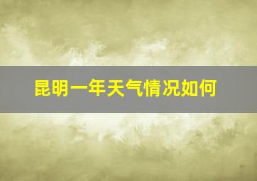 昆明一年天气情况如何