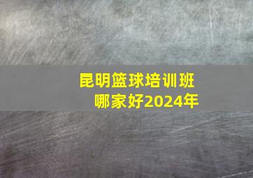 昆明篮球培训班哪家好2024年